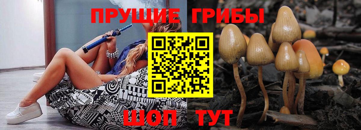 Псилоцибиновые грибы Cubensis  Вход с VPN  Буйнакск 